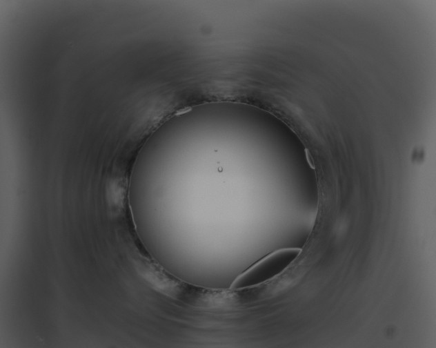 X0000096650576200802121135