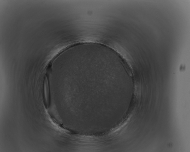X0000096650577200802121134