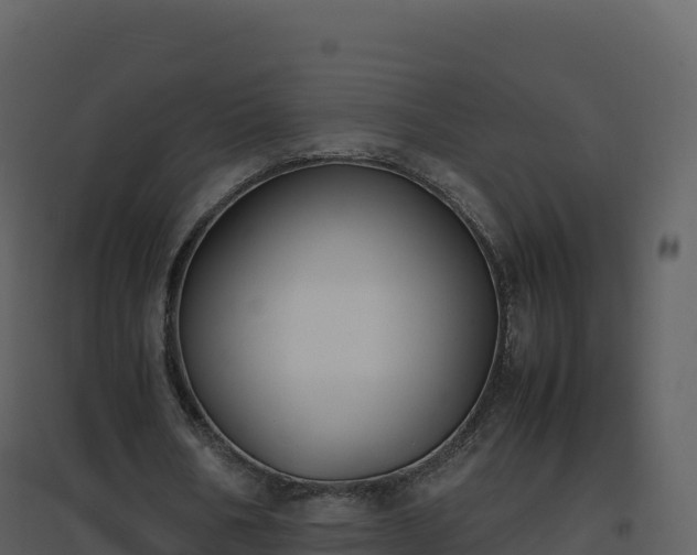 X0000096650578200802121134