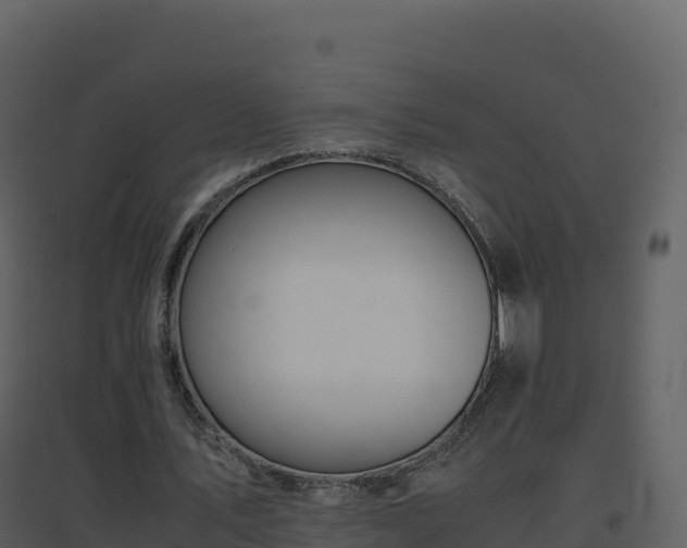 X0000096650579200802121134