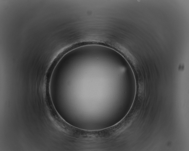 X0000096650580200802121134