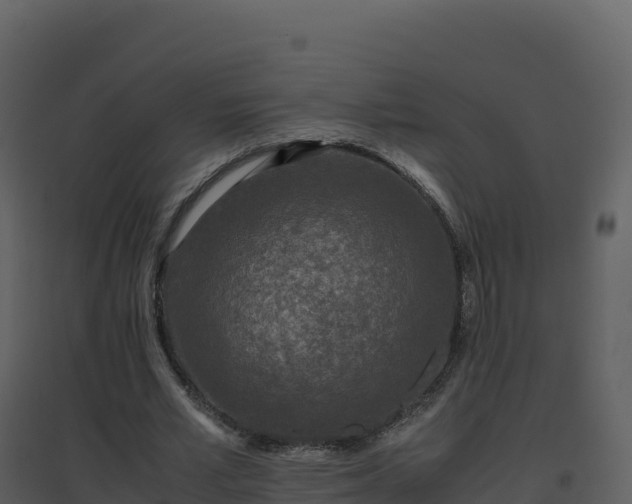 X0000096650581200802121134