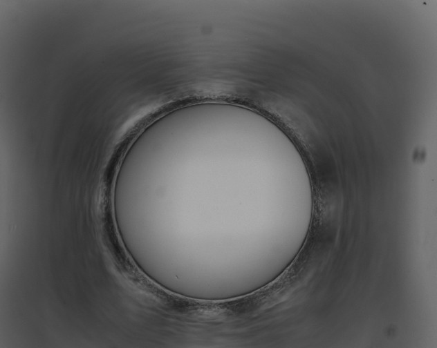 X0000096650583200802121134