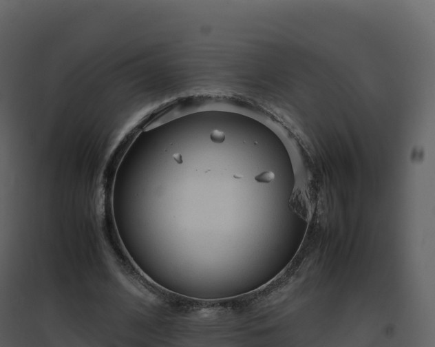 X0000096650584200802121134