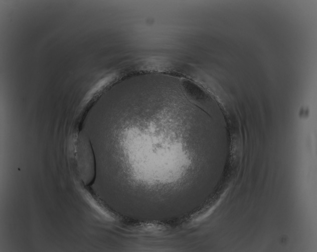 X0000096650585200802121134