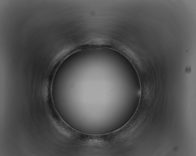 X0000096650586200802121134
