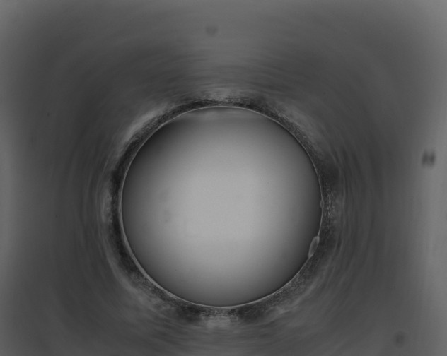 X0000096650587200802121134