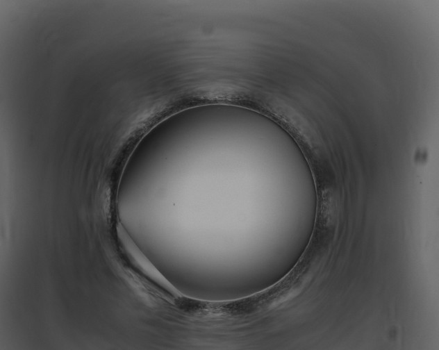 X0000096650589200802121134