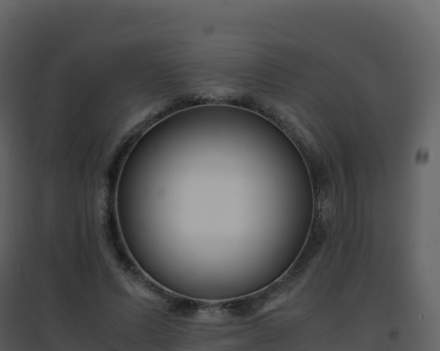 X0000096650591200802121134