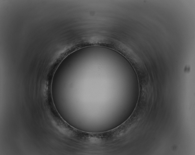 X0000096650592200802121134