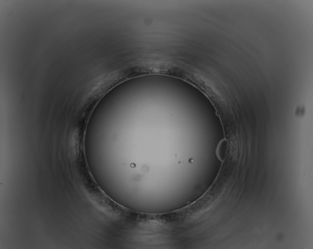 X0000096650594200802121134