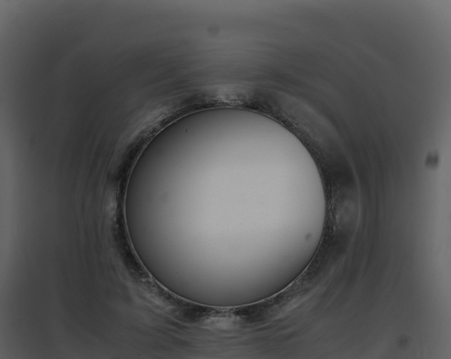 X0000096650595200802121134