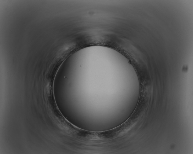 X0000096650597200802121134