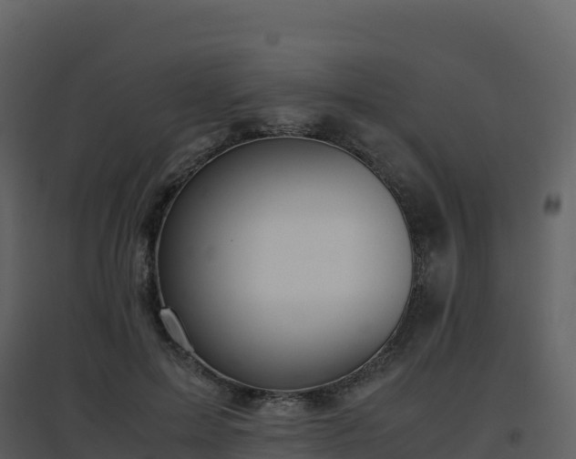 X0000096650599200802121134