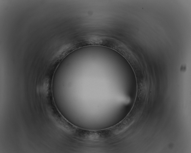 X0000096650600200802121134