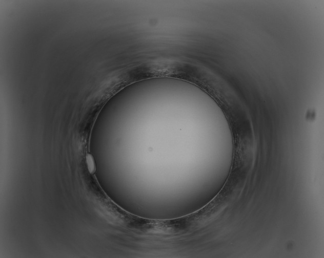 X0000096650601200802121134