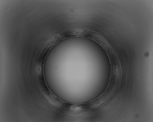 X0000096650602200802121134