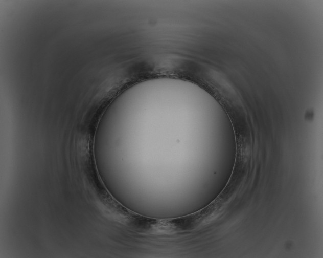 X0000096650603200802121134