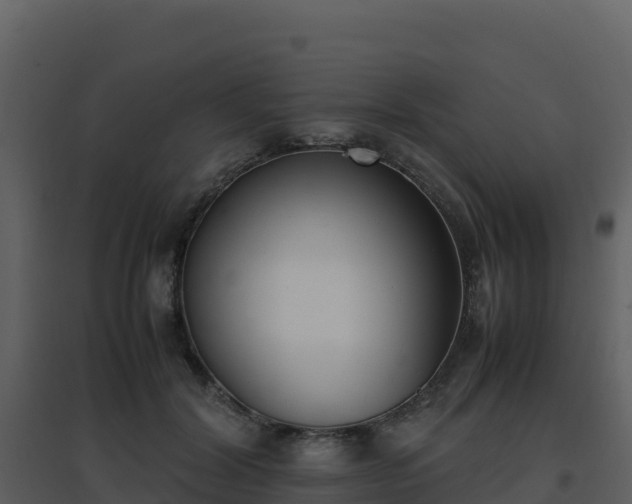 X0000096650604200802121134