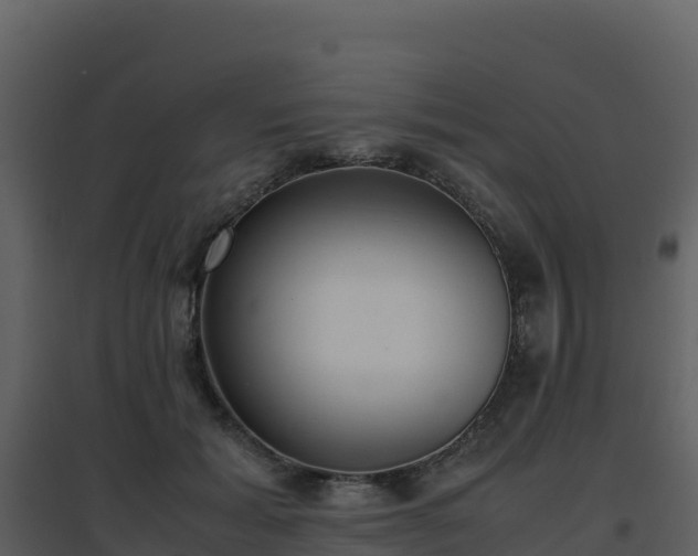 X0000096650605200802121134