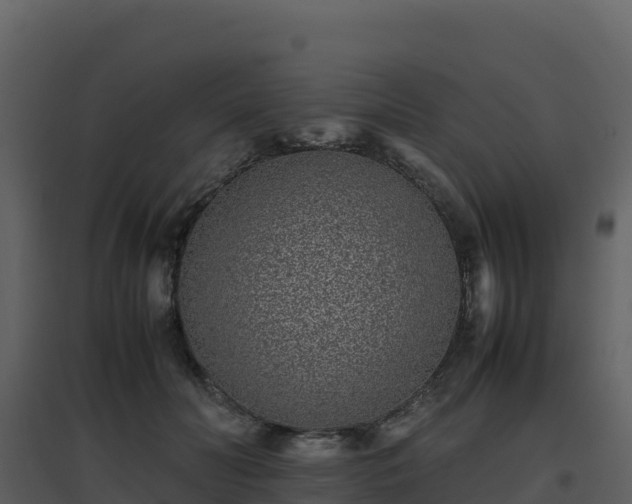 X0000096650606200802121134