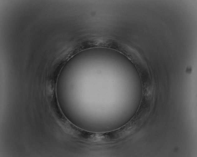 X0000096650607200802121134