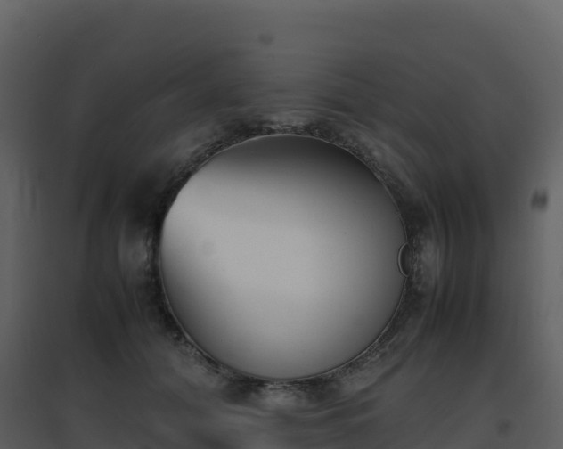 X0000096650608200802121134