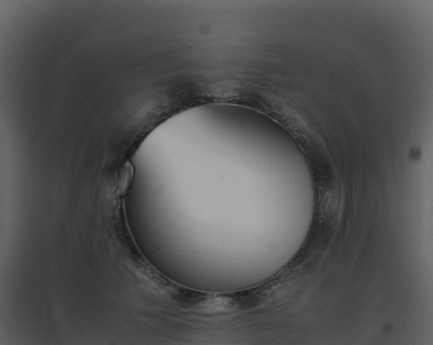 X0000096650609200802121134