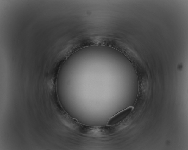 X0000096650611200802121134