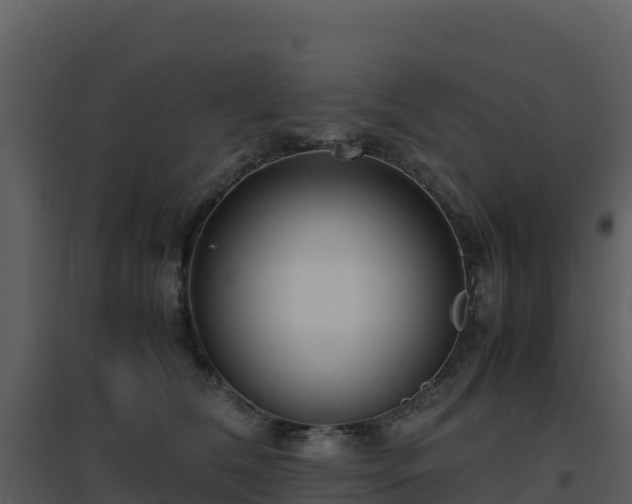 X0000096650612200802121134