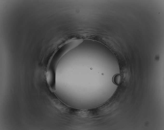 X0000096650615200802121134