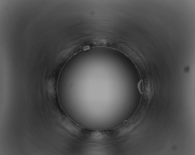X0000096650616200802121134