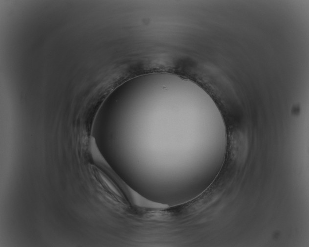 X0000096650617200802121134