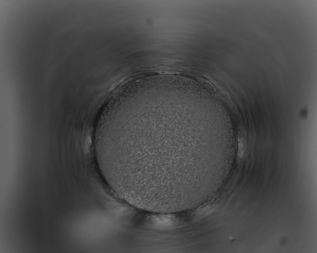 X0000096650618200802121134