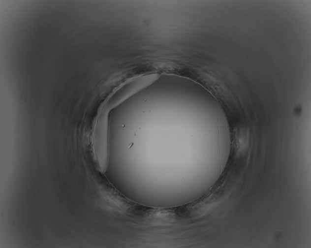 X0000096650619200802121134