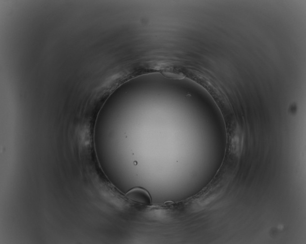 X0000096650620200802121134