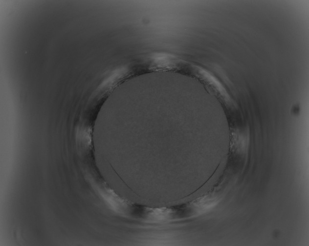 X0000096650621200802121134