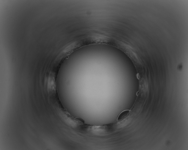 X0000096650622200802121134