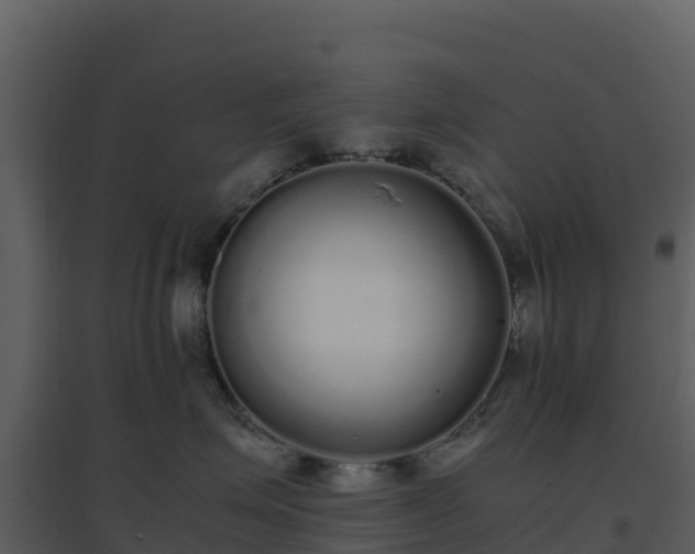 X0000096650623200802121134