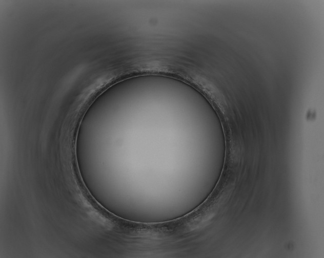 X0000096650625200802121133