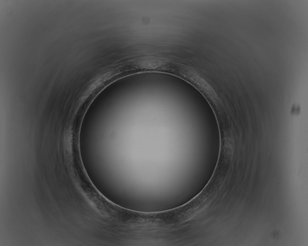 X0000096650626200802121133