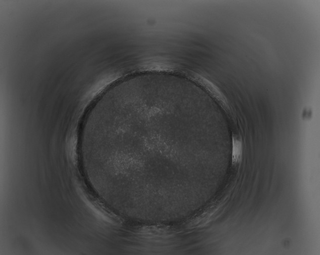 X0000096650627200802121133