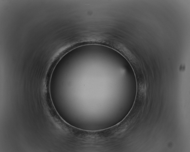 X0000096650628200802121133