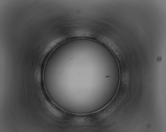 X0000096650629200802121133