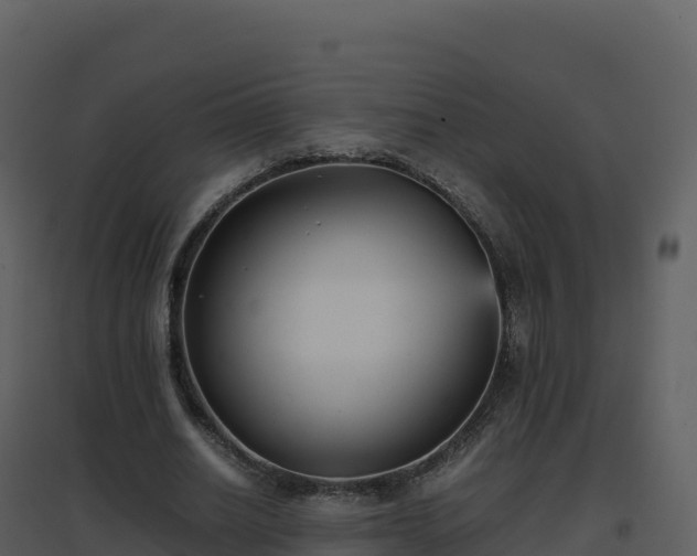 X0000096650630200802121133