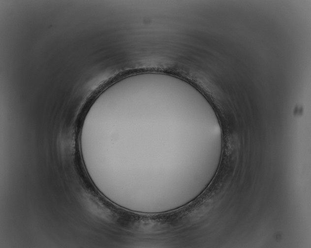 X0000096650632200802121133