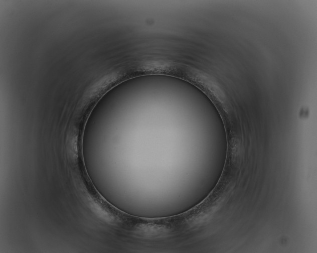 X0000096650633200802121133