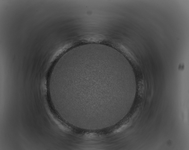 X0000096650634200802121133