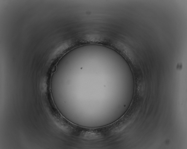 X0000096650635200802121133