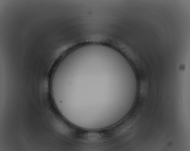 X0000096650636200802121133